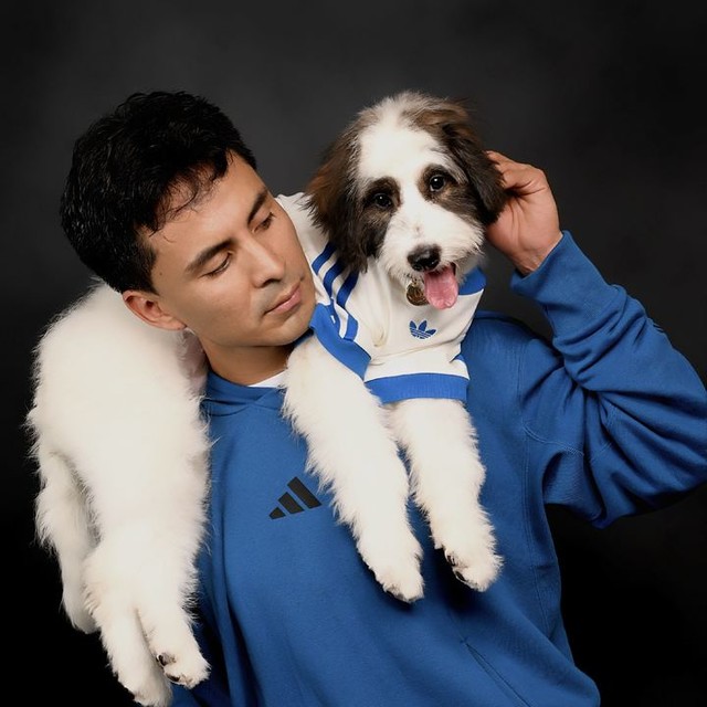 adidas PET CALI TEE - White | Free Shipping with adiClub