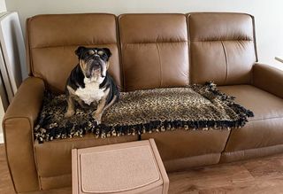 Thornton Top Grain Leather Power Zero Gravity Sofa | Living Spaces