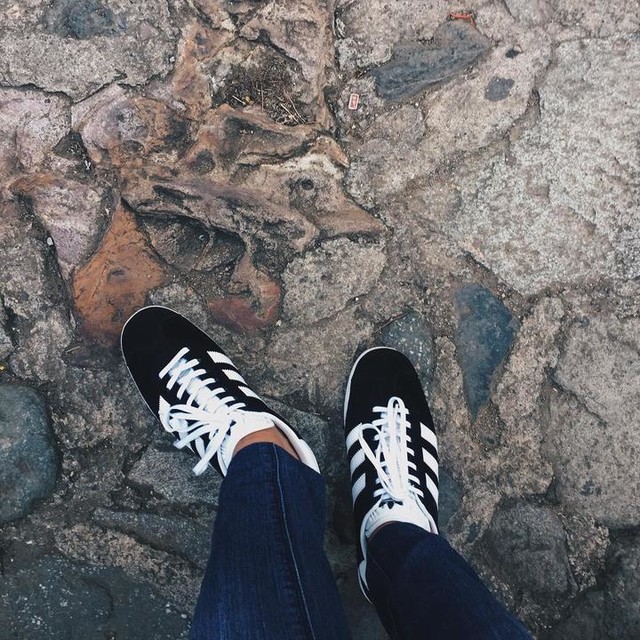 nouvelle collection gazelle