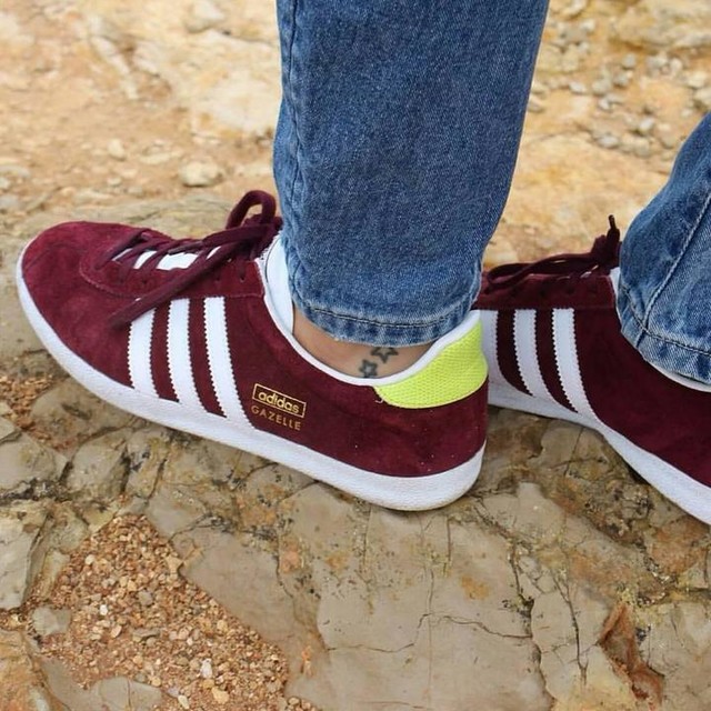adidas gazelle 2 rouge