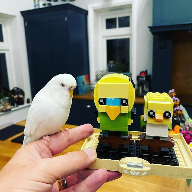 lego parakeet