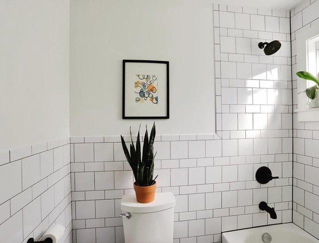 Daltile Bright Arctic White Ceramic Tile Mud Cap Bullnose Trim – 2x6 Inch (Individual Piece) - View #3
