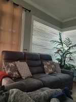 Customer Photo Customer Photo