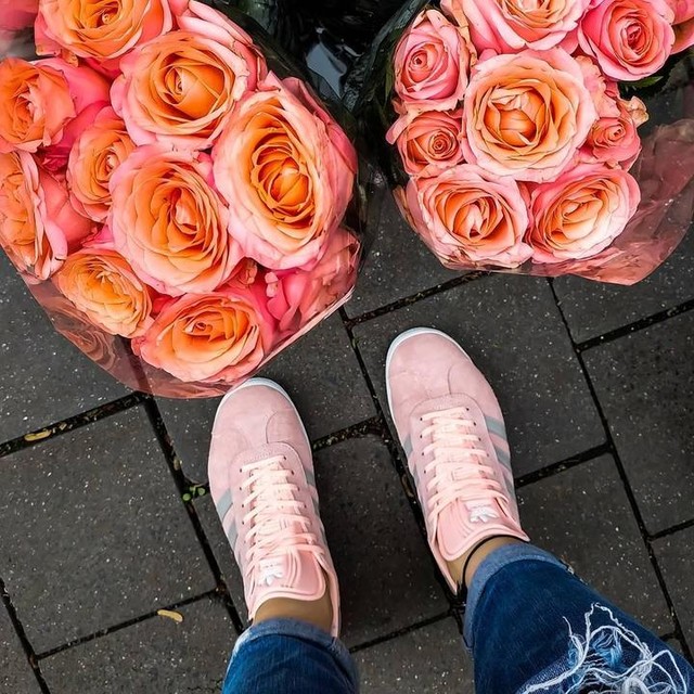 gazelle couleur pastel