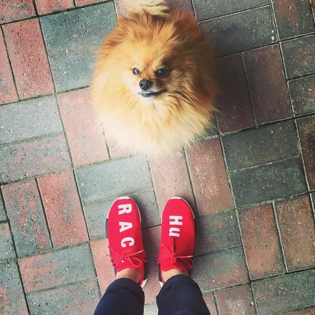 tenis nmd human race pharrell williams